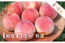 【2026年発送・先行受付】飛騨のたからもも 特選 糖度13度以上（4-8玉）※7月中旬～順次お届け | 桃 朝採れ 白桃 もも フルーツ ギフト 果物 人気 おまかせ 飛騨桃  産地直送 お取り寄せ 贈り物 ギフト おすすめ 飛騨高山 つむぎ果樹園 GH003