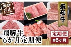  飛騨牛 定期便 ６か月 6回 しゃぶしゃぶ すき焼き サーロイン ステーキ 切り落とし 牛串 リブロース 牛 黒毛和牛 肉 飛騨高山 飛騨牛のこもり FC103