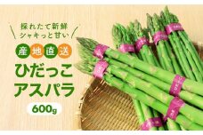 【2025年発送】ひだっこアスパラ 600g | アスパラ アスパラガス 飛騨産 野菜 春  夏野菜  産地直送 新鮮 食品 おいしい 人気 CM001VC01