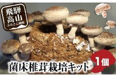 菌床椎茸栽培キット 1個 | しいたけ シイタケ 椎茸 栽培キット 栽培 菌床 しいたけ菌 椎茸菌 夏休み 自由研究 飛騨高山きのこの里 GK003