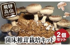 菌床椎茸栽培キット 2個セット | しいたけ シイタケ 椎茸 栽培キット 栽培 菌床 しいたけ菌 椎茸菌 夏休み 自由研究 飛騨高山きのこの里 GK004