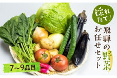 【2025年予約受付】（2025年4月中旬～順次発送予定）飛騨の野菜お任せセット 7～9品目 | セット 野菜 夏野菜 秋野菜 おまかせ お取り寄せ 新鮮 産地直送 飛騨産 夏 秋 サラダ 飛騨高山 あじかファミリー GN001