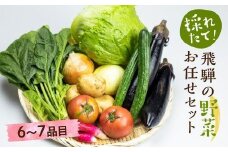 【2025年予約受付】（2025年4月中旬～順次発送予定）飛騨の野菜お任せセット 6～7品目 |  セット 野菜 夏野菜 秋野菜 おまかせ お取り寄せ 新鮮 産地直送 飛騨産 夏 秋 サラダ 飛騨高山 あじかファミリー GN002