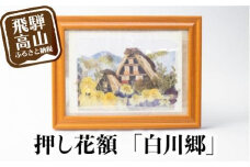 【数量限定】押し花額 飛騨の風景【白川郷】 押し花 花 フラワー    飾り  BB006