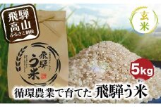 【数量限定/先行受付】令和7年産 飛騨う米 玄米 5kg | 有機肥料100％ 米 お米 受賞米 米コン3年連続特別優秀賞受賞米 飛騨高山 株式会社拳 GW003