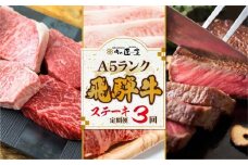 【定期便 3ヶ月】＜全3回＞ A5飛騨牛 ステーキ（ヒレ／ロース／ランプ／サーロイン）| 定期便 肉 牛肉 飛騨牛 和牛 黒毛和牛 ブランド牛 ステーキ ヒレ サーロイン ロース ランプ 飛騨高山 肉の匠家 BV103