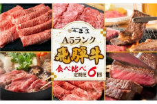 【定期便 6ヶ月】＜全6回＞飛騨牛 食べ比べ（ステーキ／焼肉／すき焼き／しゃぶしゃぶ）| ヒレ ロース ランプ サーロイン もも 霜降り 定期便 牛 和牛 食べ比べ 飛騨牛 ブランド牛 黒毛和牛 お肉 飛騨高山 肉の匠家 BV104