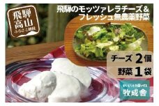 飛騨の新鮮モッツァレラ＆フレッシュ野菜 お届けセット モッツァレラチーズ チーズ ミックスリーフ 無農薬野菜 無農薬 飛騨高山 牧成舎 DF001
