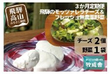 ＜牧成舎定期便 3カ月＞飛騨の新鮮モッツァレラ＆フレッシュ野菜 セット 3回お届け モッツァレラチーズ 野菜 チーズ ミックスリーフ 無農薬野菜 無農薬飛騨高山 牧成舎 DF100