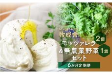 【 6ヶ月 定期便 】飛騨の新鮮モッツァレラ＆フレッシュ野菜 セット 6回お届け モッツァレラチーズ 6回 半年 チーズ ミックスリーフ 無農薬野菜 無農薬 飛騨高山 牧成舎 DF101