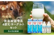 【 6ヶ月 定期便 】飛騨の牛乳屋こだわり （牛乳 3本 飲むヨーグルト 2本 セット）×6回 低温殺菌 6回 無添加 牧成舎 飛騨高山 DF103