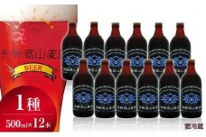 飛騨高山麦酒 ダークエール 12本セット 500ml×12 地ビール ビール 麦酒 クラフトビール 飛騨高山 瓶ビール ビンビール  FS001
