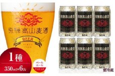 飛騨高山麦酒 ペールエール 6缶セット 350ml×6本 地ビール ビール 麦酒 クラフトビール 飛騨高山 缶ビール  FS005