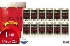 飛騨高山麦酒 ダークエール 12缶セット 350ml×12本 地ビール ビール 麦酒 クラフトビール 飛騨高山 缶ビール FS008