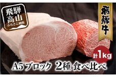 A5 飛騨牛 ブロック ２種食べ比べ 1kg（サーロイン500g もも500g） | サーロイン もも A5等級 ステーキ ローストビーフ 和牛 牛肉 ブランド牛 飛騨高山 株式会社丸明 LR001
