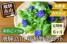 【定期便6回】飛騨高山野菜『おおごっつぉ』詰合せ 葉物野菜 葉物 ミックスリーフ わさびな フラワーサラダ 無農薬野菜 無農薬 HS100