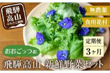 【定期便３回】飛騨高山野菜『おおごっつぉ』詰合せ 葉物野菜 葉物 ミックスリーフ わさびな フラワーサラダ 無農薬野菜 無農薬 HS101
