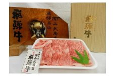 【高島屋選定品】飛騨牛 ロース 焼肉用 500g 和牛 ロース焼肉用 ロース 焼肉用 (株)高島屋 AT001