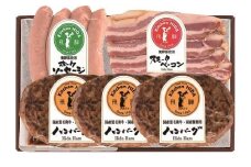 【数量限定】【高島屋選定品】バラエティセット ハンバーグ デミグラスソース付 ポークソーセージ ベーコンスライス レトルトセット (株)高島屋 AT009
