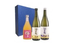 【数量限定】【高島屋選定品】淡麗辛口な大吟醸と蔵元酒の飲み比べセット 日本酒 大吟醸 純米吟醸 梅酒 飲み比べ セット (株)高島屋 AT013