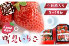 【2026年先行予約】大粒 雪見いちご 1箱（9-15粒／化粧箱入り）| 糖度が高くてほどよい酸味 数量限定 イチゴ フルーツ 果物 いちご 品種おまかせ（紅ほっぺ／紅かおり／山天王）飛騨高山 小屋垣内農園 JA001