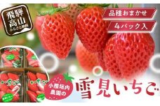 【2026年先行予約】雪見いちご 約200g×4パック | 糖度が高くてほどよい酸味 数量限定 イチゴ フルーツ 果物 いちご 品種おまかせ（紅ほっぺ／紅かおり／山天王）飛騨高山 小屋垣内農園 JA002