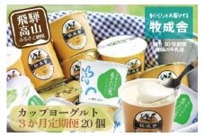 【定期便3か月】飛騨のカップヨーグルト20個セット 毎月1回お届け 乳製品 ヨーグルト2種類 セット 詰合せ 牧成舎 DF108