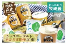 【定期便６か月】飛騨のカップヨーグルト20個セット 毎月1回お届け 乳製品 ヨーグルト2種類 セット 詰合せ 牧成舎 DF109