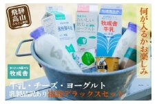 乳製品 福袋 デラックスセット 乳製品 ヨーグルト 牛乳 種類おまかせ セット 詰合せ  牧成舎 DF004