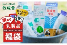 『牧成舎』”何が届くかお楽しみ！”　訳あり乳製品福袋セット | 乳製品 福袋 牛乳 チーズ ヨーグルト 訳アリ 種類おまかせ 詰合せ 牧成舎 DF005