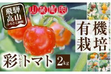 【2025年夏 先行予約】（6月中旬から順次発送予定）飛騨高山産 有機栽培トマト「彩りトマト」 2kg | ミディトマト ミニトマト 詰合せ ミックス 樹熟 5種類以上 食べ比べ 野菜 飛騨高山 山藏農園 JC008