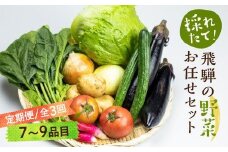  《定期便》3ヶ月 飛騨の野菜 7～9点 野菜セット 3回 お届け 飛騨高山産 野菜  秋野菜 おまかせ お取り寄せ  産地直送 飛騨産 夏 秋  サラダ    GN101