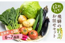 定期便 3ヶ月 飛騨の野菜 6～7点 野菜セット 3回 お届け 飛騨高山産 野菜  秋野菜 おまかせ お取り寄せ  産地直送 飛騨産 夏 秋 ふるさと納税定期便    GN100