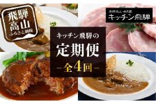 【定期便】人気のお肉レトルト商品詰め合わせ 全4回お届け | キッチン飛騨 4か月 定期 カレー ハムセット ハンバーグ 缶詰 食品 冷凍 ビーフ ポーク カレー ビーフシチュー ハヤシビーフ 飛騨牛 老舗 名店 飛騨高山 飛騨ハム CQ100