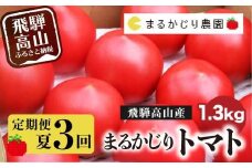 【2025年予約受付】【定期便 3ヶ月】＜全3回（8～10月 毎月1回）＞ 飛騨高山産 トマト 『麗月』1.3kg | とまと tomato 事前予約 産地直送 夏 野菜 飛騨高山 まるかじり農園 FW100