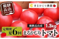 【2025年予約受付】【定期便 3ヶ月】＜全6回（8～10月 毎月2回）＞ 飛騨高山産 トマト 『麗月』 1.3kg | とまと tomato 産地直送 夏 野菜 飛騨高山 まるかじり農園 FW102