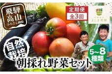 【先行予約】【野菜定期便 7～11月のうち3ヶ月間（全3回）】 朝採れ 野菜セット 5～8種 | 自然栽培 おまかせ トマト ナス キュウリ ゴーヤ オクラ ネギ ししとう 冬瓜 ジャガイモ 玉ねぎ 飛騨高山 よしま農園 CK100