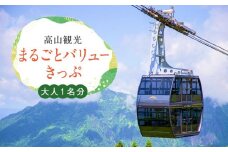 【高山観光】まるごとバリューきっぷ 1名分（バス＋新穂高ロープウェイ乗車券）| 一部観光施設が割引になる嬉しい特典つき！ 高山～新穂高ロープウェイ間の2日間フリーパス付き ロープウェイ往復利用券付き 旅行 観光 チケット 交通 飛騨高山 便利 濃飛バス 濃飛乗合自動車 CA003
