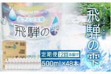 【12回 定期便】天然水 飛騨の雫 500ml×48本 (2ケース)  |12ヶ月 天然水 ミネラルウォーター 水  飲料水  防災 備蓄  水 ペットボトル 500ml 500ミリリットル 国産 長期保存  送料無料 飛騨高山 白啓酒店 JS103