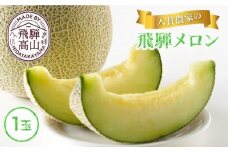 【数量限定】2025年先行予約 厳選！入賞飛騨メロン1玉 ≪8月頃より順次発送≫ | 飛騨高山産 めろん 上位入賞メロン 果物 くだもの フルーツ 期間限定 数量限定 飛騨高山 宿儺さま KA011