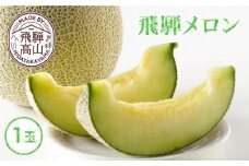 【数量限定】2025年先行予約 飛騨メロン 1玉 ≪8月頃～順次発送≫ | 飛騨高山産 メロン めろん 高冷地 果物 くだもの フルーツ 期間限定 数量限定 飛騨高山 宿儺さま KA012