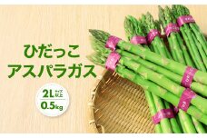 【2025年発送】2Lサイズ以上 ひだっこアスパラガス 0.5kg | アスパラ 野菜 やさい 産地直送 春 夏野菜 採れたて グリーンアスパラガス 期間限定 人気 おいしい ひだっこの里 CM003VC01