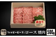 飛騨牛 A5等級 ロース ５００g  焼肉 飛騨牛 ブランド牛 Ａ5ランク ハッピープラス 飛騨高山 JQ017