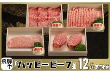 ハッピービーフ 【定期便】 飛騨牛 ブランド牛 Ａ5ランク ハッピープラス 飛騨高山 JQ100