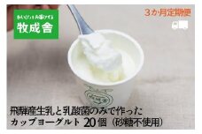 ＜牧成舎定期便 3カ月＞飛騨の牛乳屋 牧成舎 生乳100％砂糖不使用プレーンヨーグルト20個 朝食におすすめ 無糖ヨーグルト プレーンヨーグルト 砂糖不使用 生乳ヨーグルト 乳製品 DF119