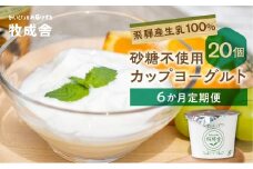 【6か月定期便】生乳100％ 砂糖不使用 プレーンヨーグルト 20個 牧成舎 朝食におすすめ 無糖ヨーグルト プレーンヨーグルト 砂糖不使用 生乳ヨーグルト 乳製品 DF111