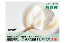 飛騨の牛乳屋 牧成舎 ミルクの旨味たっぷり 業務用 １L アイスクリーム 3種 合計3Ｌ アイス 冷菓 お菓子 おかし おやつ 乳製品 ギフト プレゼント バレンタイン ホワイトデー 母の日 牧成舎 DF007