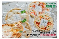 【6カ月定期便】飛騨の牛乳屋 牧成舎 お任せチーズたっぷりピザセット ピッツァ 種類お任せ マルゲリータ 洋風トマト 和風山椒 お任せ 定期便 モッツアレラチーズ 乳製品 DF115