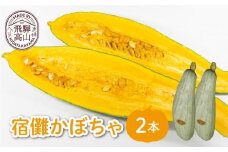 【数量限定】2025年 先行予約（9月頃より発送開始予定） 宿儺かぼちゃ 2本 | 南瓜 カボチャ 飛騨野菜 飛騨の特産品 野菜 数量限定 期間限定 飛騨高山 宿儺さま KA003