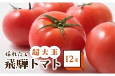 【数量限定】希少！！超大玉飛騨トマト 12玉 【8月頃～順次お届け】| とまと 大玉トマト 野菜 産地直送 珍しい 数量限定 期間限定 飛騨高山 宿儺さま KA009